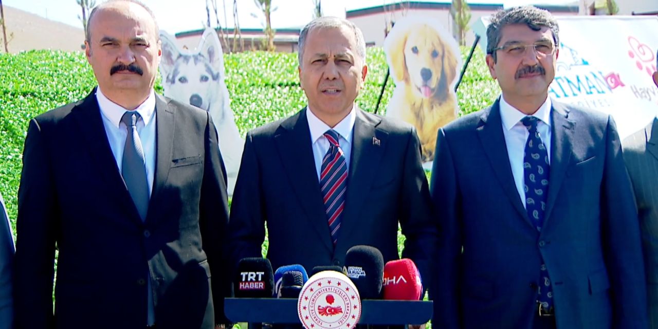 Yerlikaya'dan sokak hayvanları düzenlemesi açıklaması: Belediyeler iki ayda bir denetlenecek