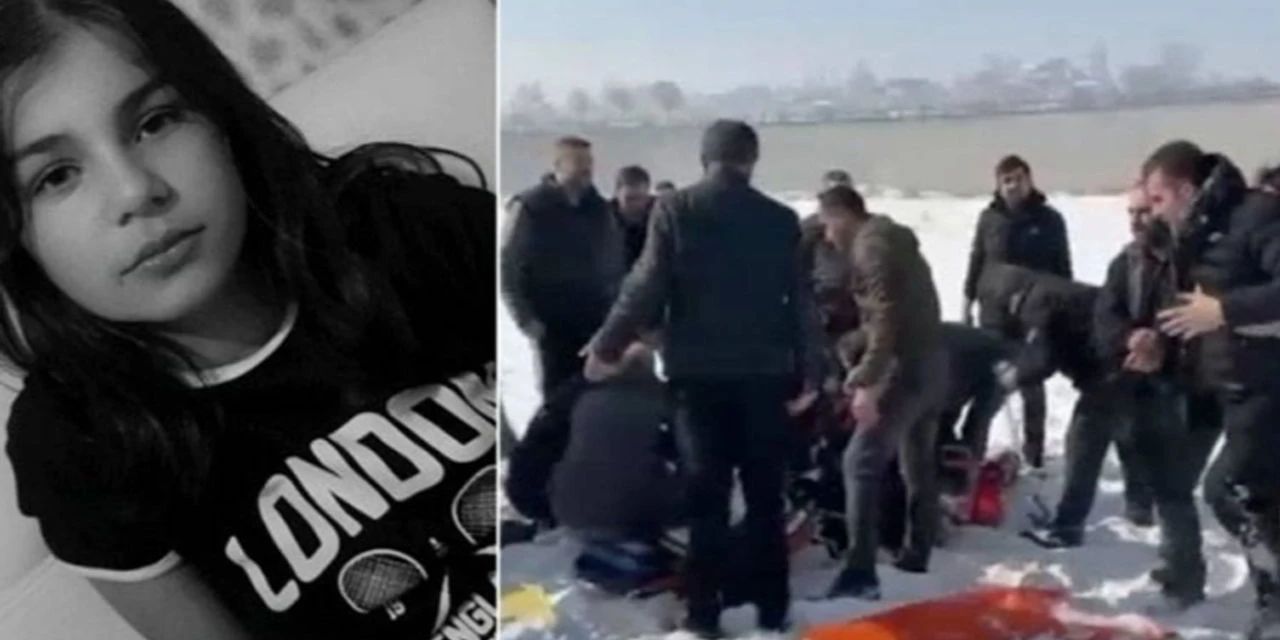 Yüksekova Belediyesi yetkililerine yönelik 'sokak hayvanları' soruşturma izni