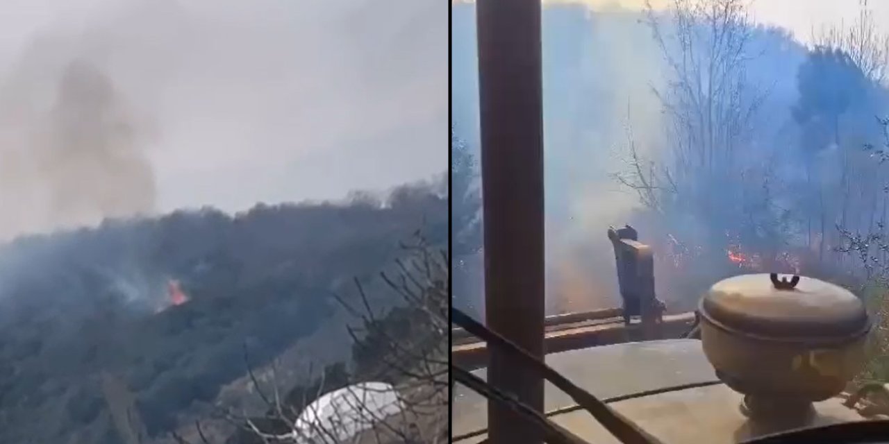Yalova'daki yangın kontrol altına alındı