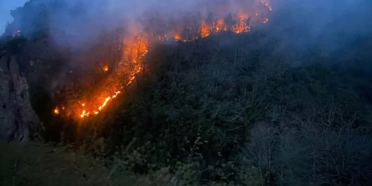 Giresun’da orman yangını: ‘Köylü yorgan yaktı’ iddiası
