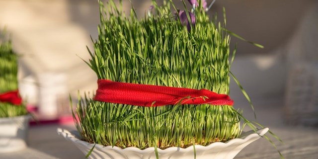 Nevruz honçası ve semeni: Nevruz Bayramı geleneği Türk kültüründe sürdürülüyor