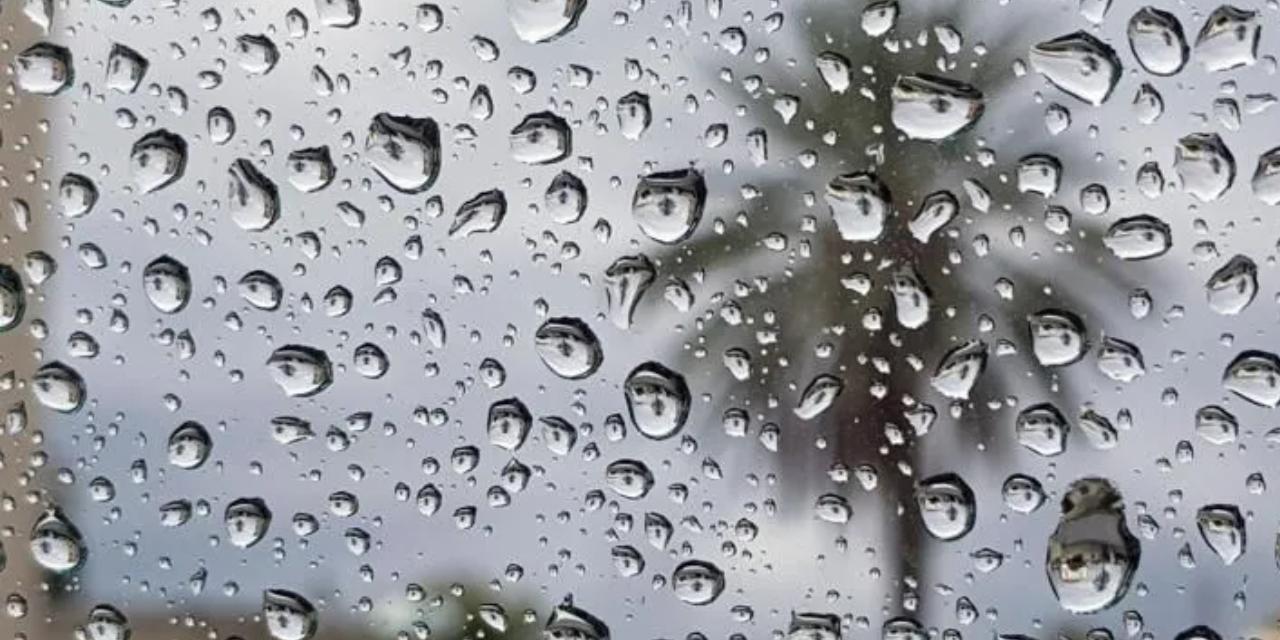 24 Mart hava durumu: Batıda yağış, doğuda sis ve çığ tehlikesi