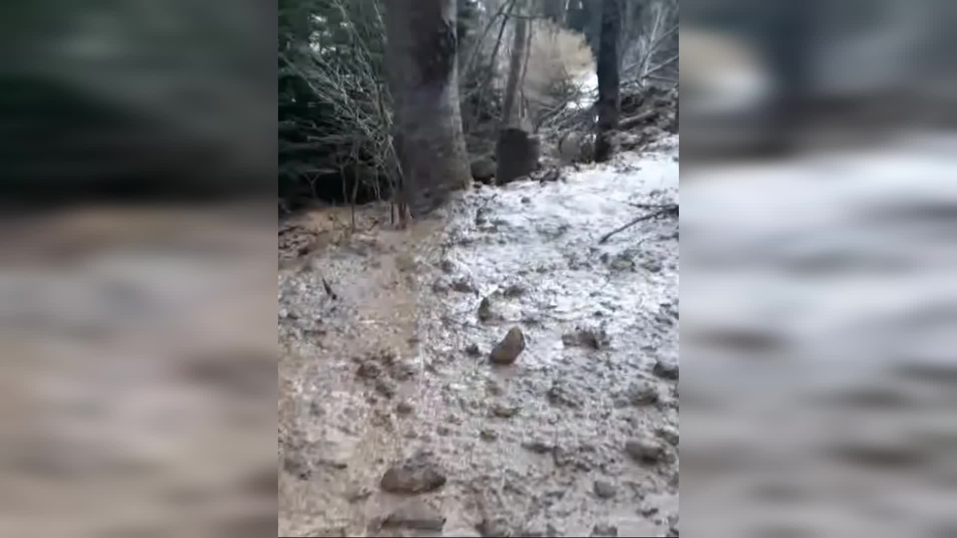 Artvin'in Tosunlu Köyünde heyelan, köy yolu kapandı