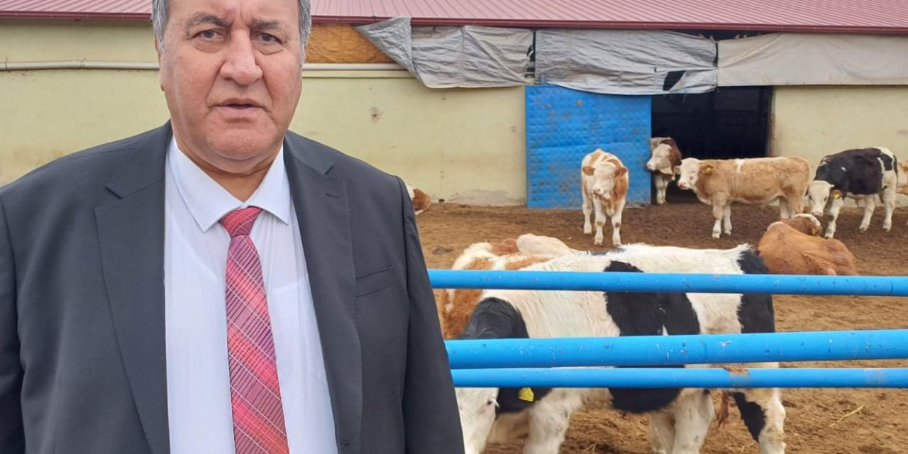 Et açığına teşhis: Aşı var ama hastalık bitmiyor