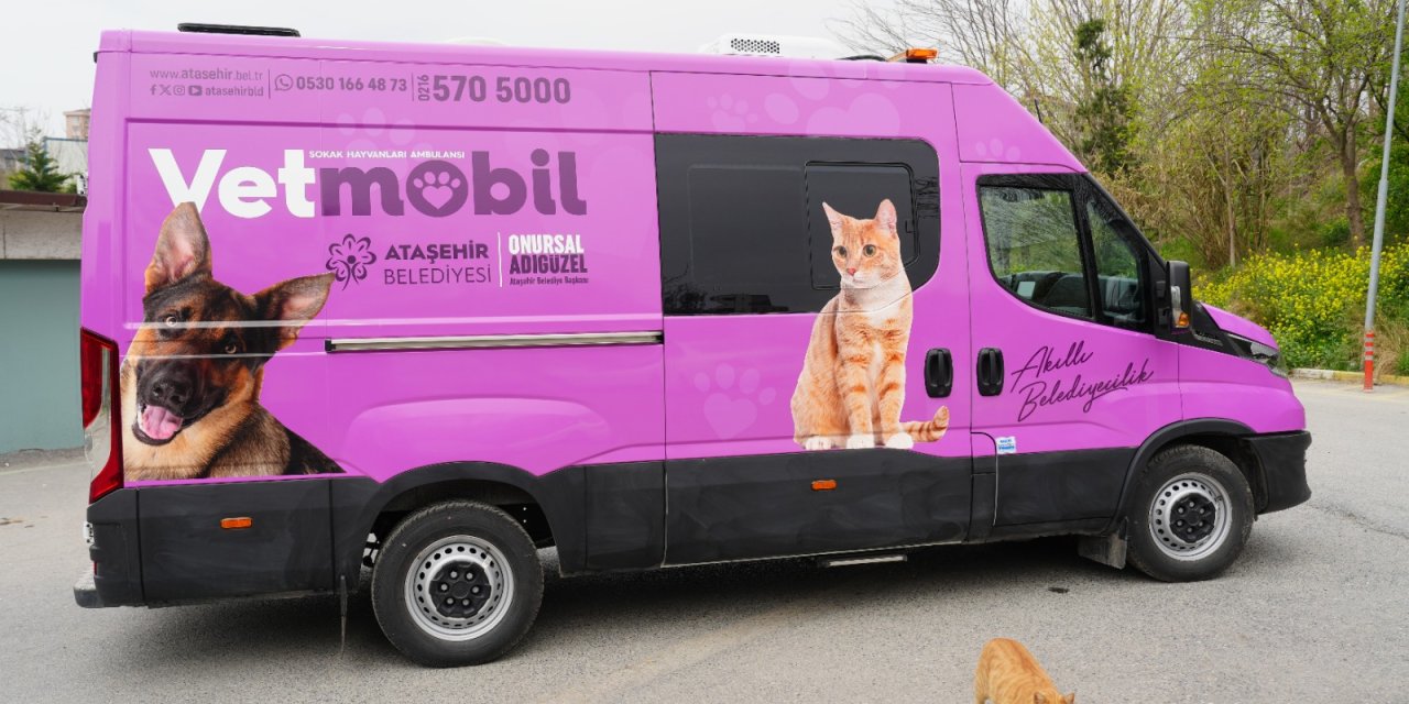 Ataşehir’de sokak hayvanları için “Vetmobil” dönemi başlıyor