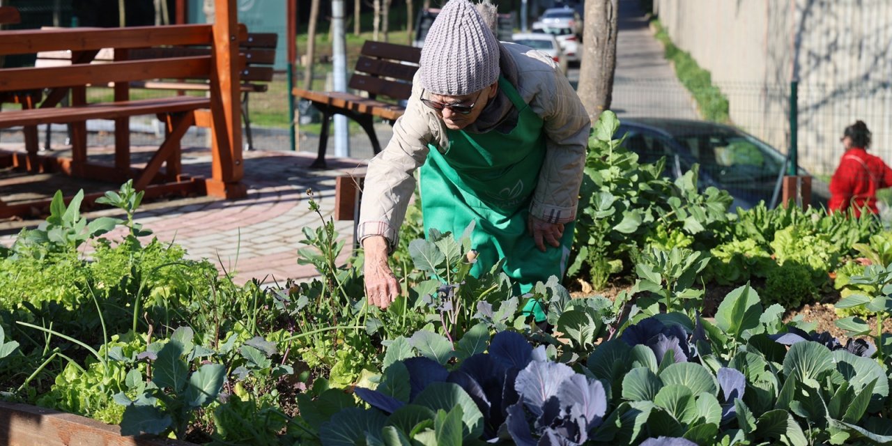 Ataşehir’de yeni dönem bostan heyecanı başlıyor