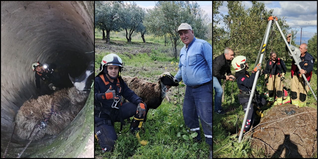 Manisa'da kuyuya düşen koyunu kurtarmak için itfaiye seferber oldu!