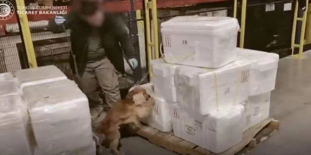 İstanbul Havalimanı'nda uyuşturucu operasyonu: 455 kilo kokain ele geçirildi