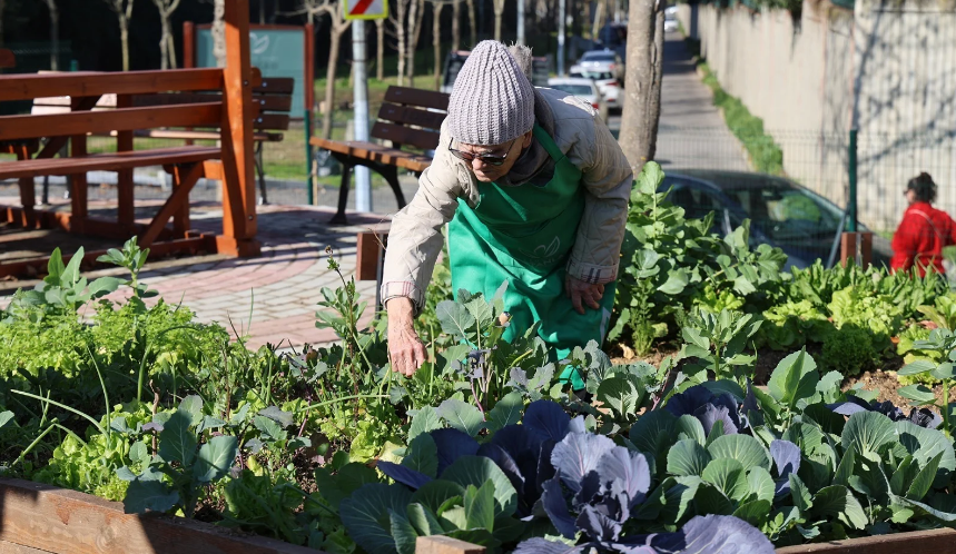 Ataşehir’de kent bostanları için başvurular başladı
