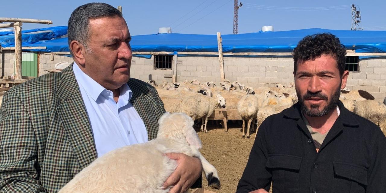 CHP'li Gürer: Çiftçinin borcu silinmezse icraları çok konuşacağız