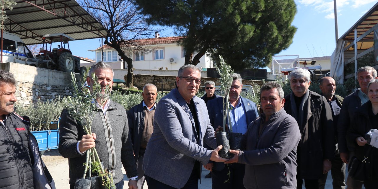 Manisa'da yangının izleri siliniyor, üreticinin yüzü gülüyor