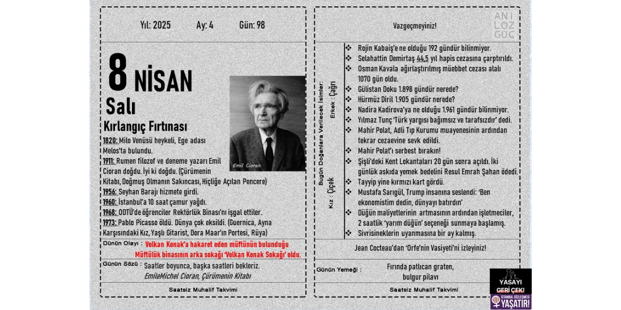 Kırlangıç Fırtınası