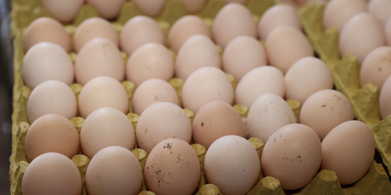 Yumurta kuyruğu uzadı, fiyat 10 lirayı aştı: "Protein değil, lüks tüketim oldu"