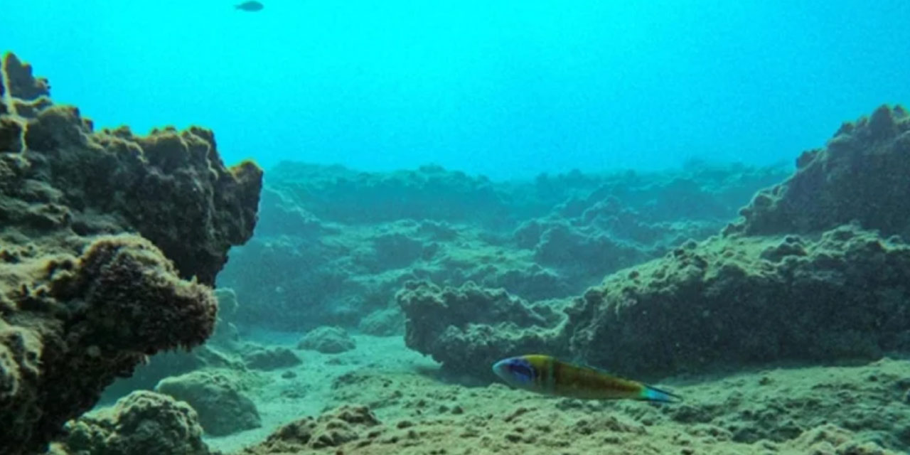 NASA açıkladı: Okyanus tabanında 100 bini aşkın keşfedildi