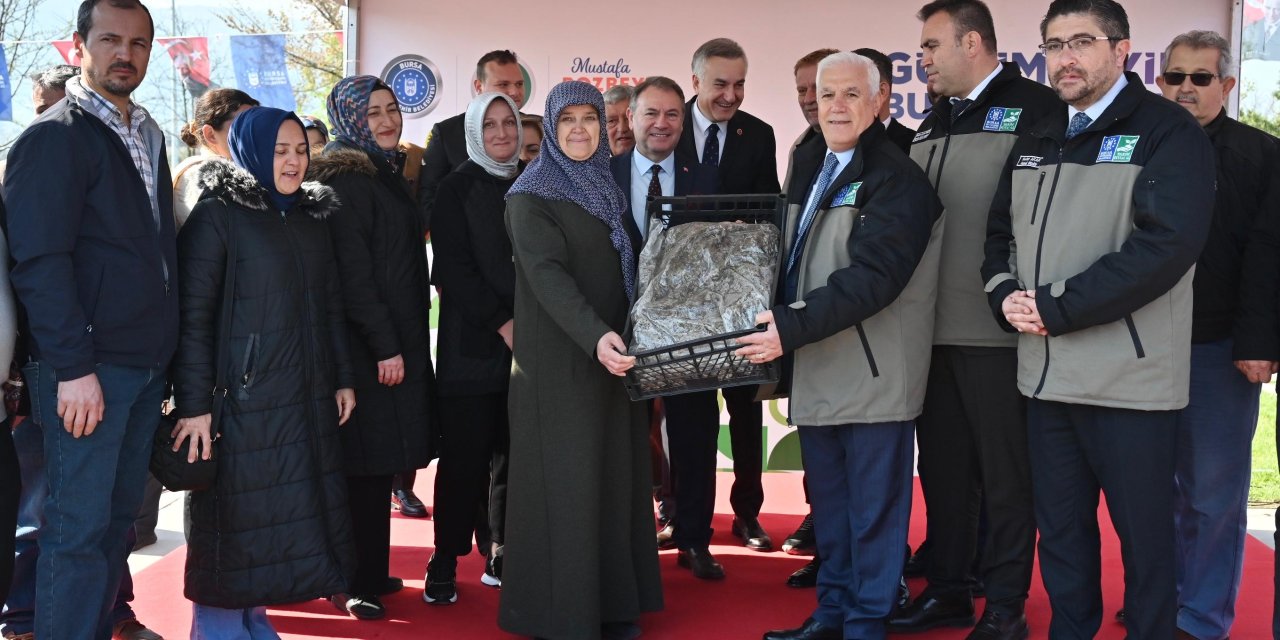 Bursa'da çiftçiye 1 milyon 222 bin adet çilek fidesi