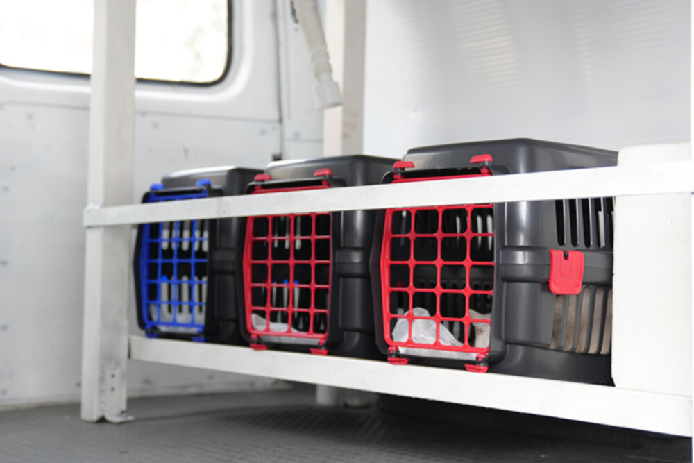 Gaziosmanpaşa’da sokak hayvanları için GOPVET sahada