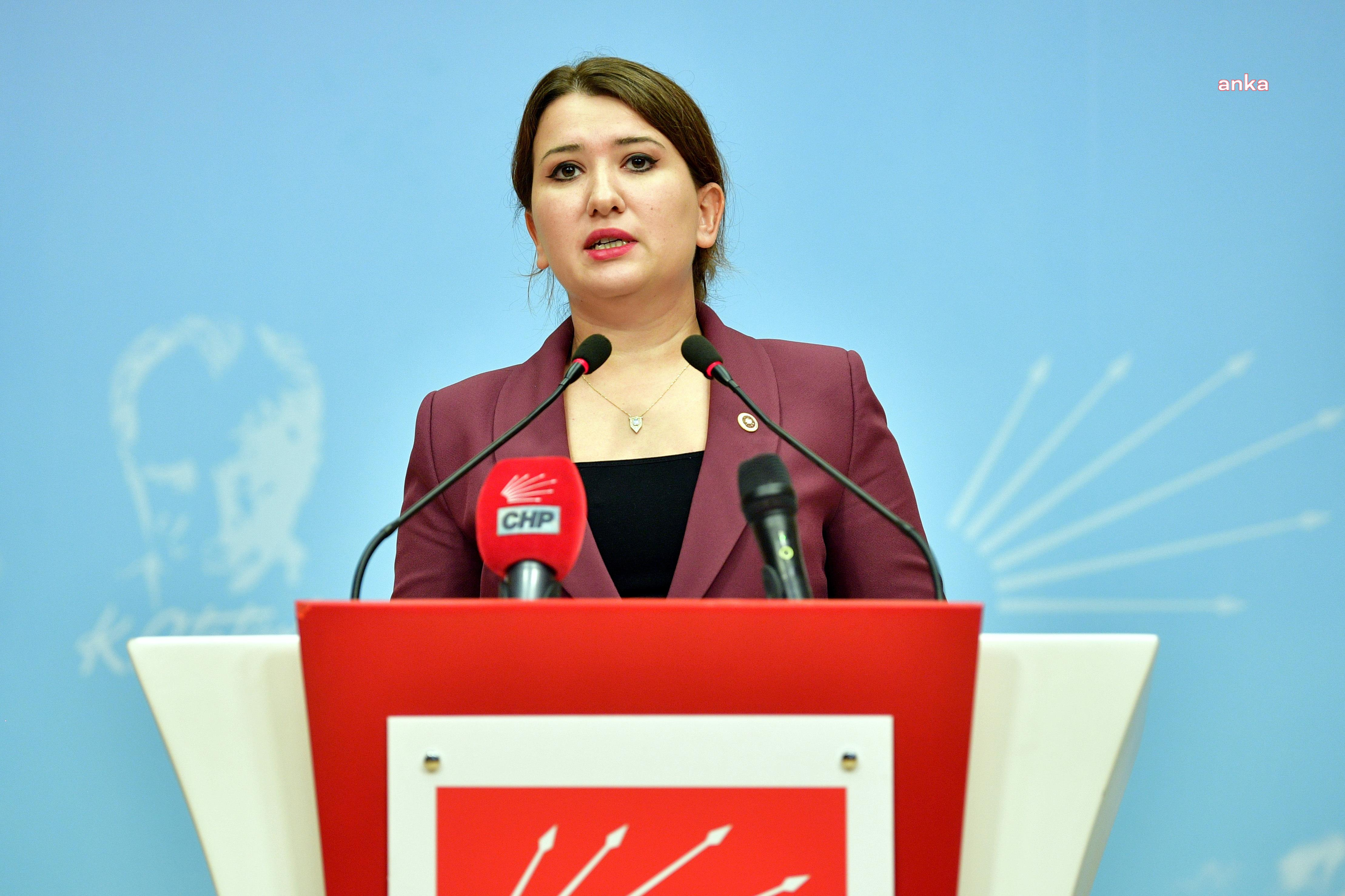 CHP'li Gökçe Gökçen'den Avrupa Konseyi Parlamenterler Meclisi'nde Sumud Filosu mesajı