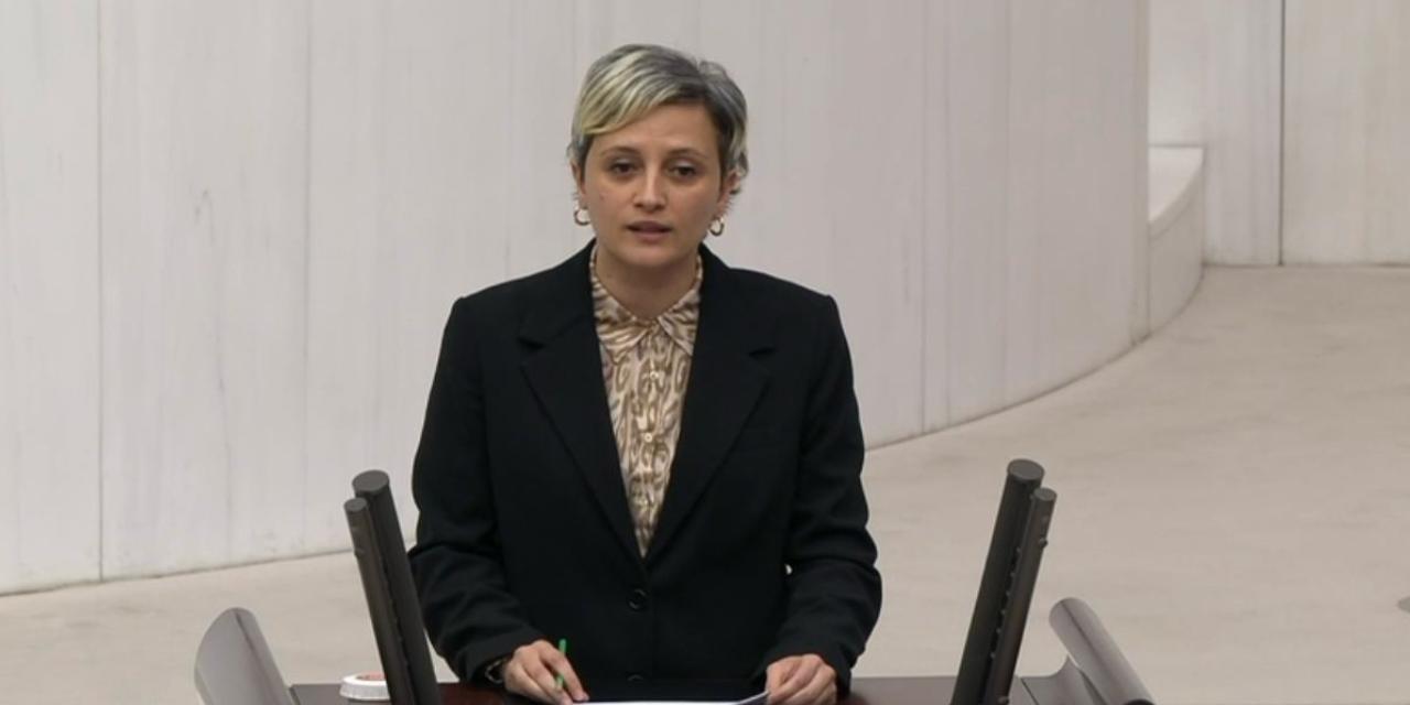 Perihan Koca'dan İçişleri Bakanı'na Samandağ soruları: 'Kaymakamın hukuksuzlukları inceleniyor mu?'