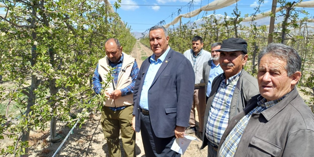 Don vurdu, elma yok: Niğde’de 500 bin ton kayıp