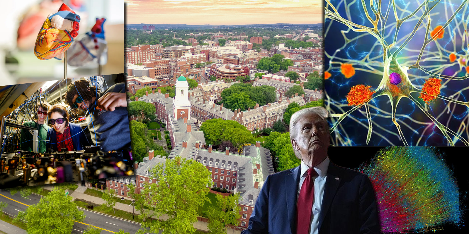 Harvard’dan Başkan Trump’a dava resti: Bağımsızlığımızı teslim etmeyeceğiz