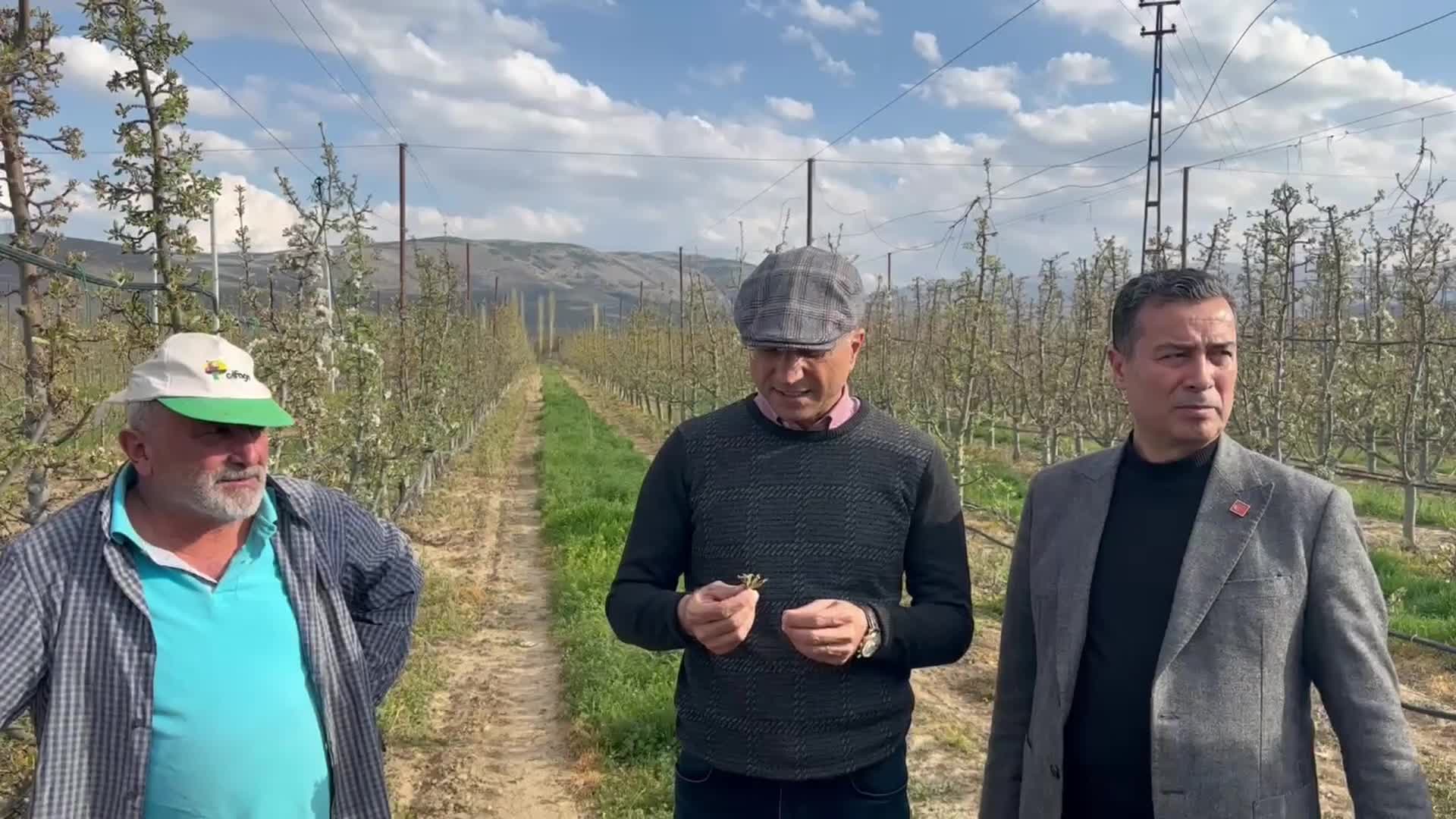 "Kayseri'de 250 bin ton hasat beklediğimiz elma bahçelerinde hiçbir üretim alamıyoruz"