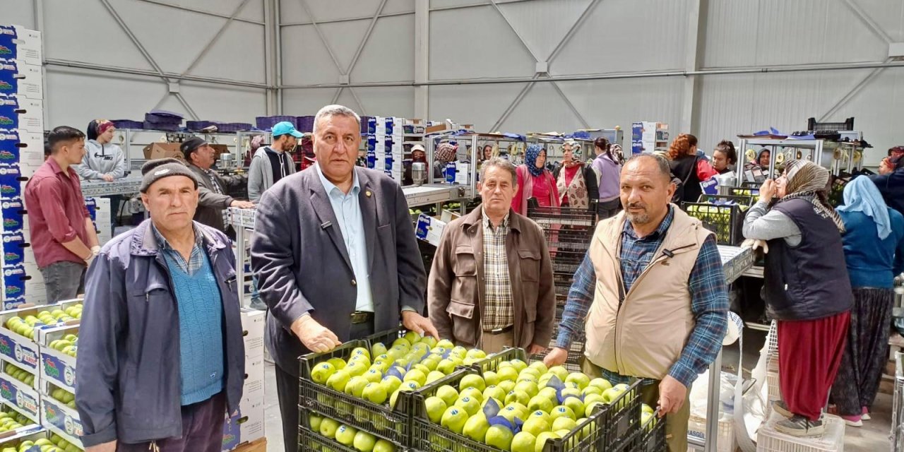 Don felaketi elma ihracatını vurdu: “Pazarımızı kaybetmekten korkuyoruz”