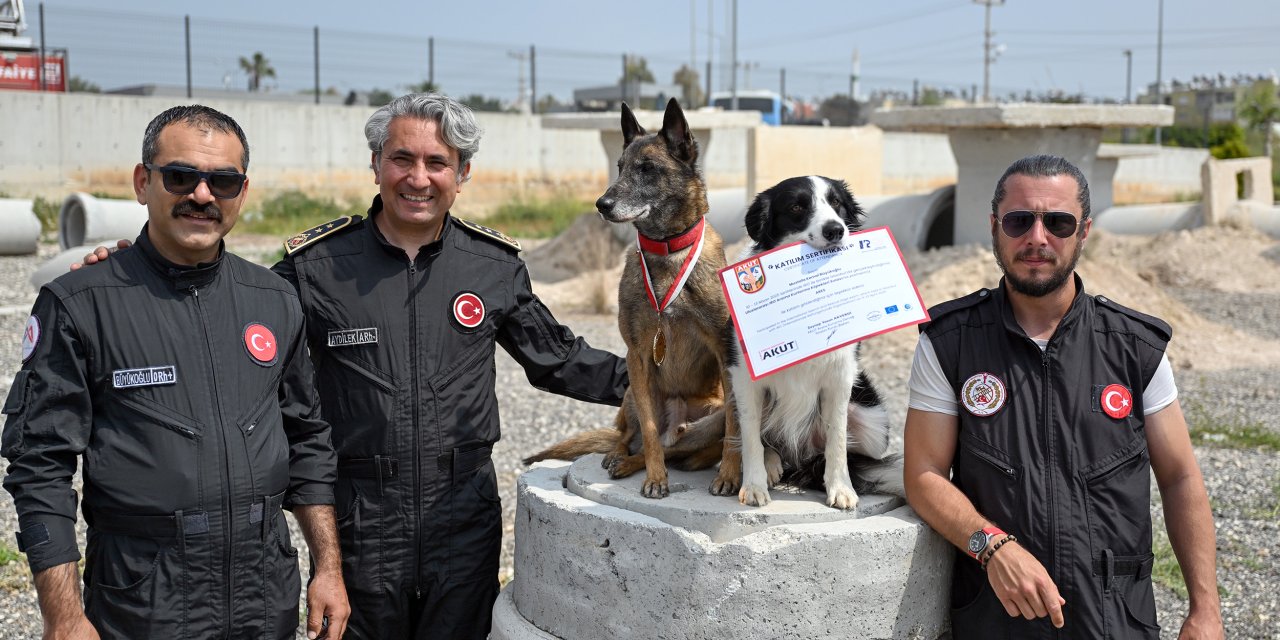 Mersin İtfaiyesi’nin kahraman patileri Ares ve Rex, uluslararası sınavda zirveye çıktı
