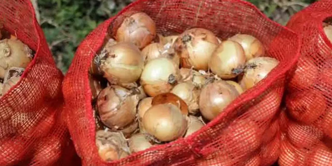 Soğan üreticileri kazandı: Bakanlık söz verdi