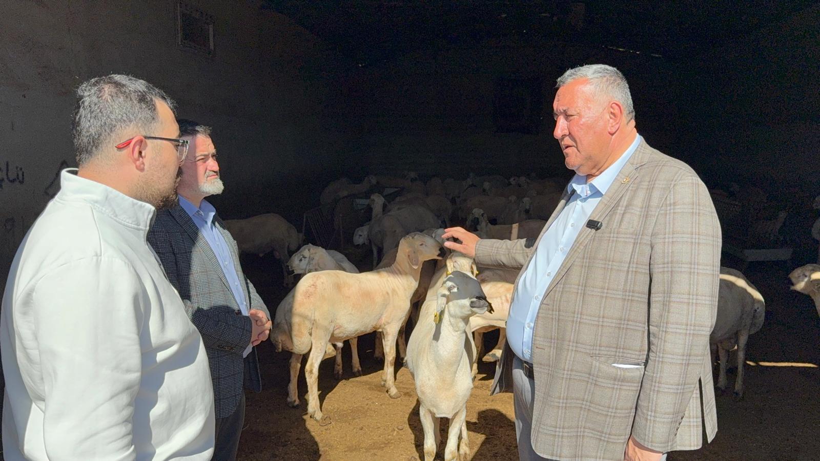 En ucuz kurbanlık 23 bin lira... Asgari ücret 22.104 lira, emekli maaşı 14.469 lira