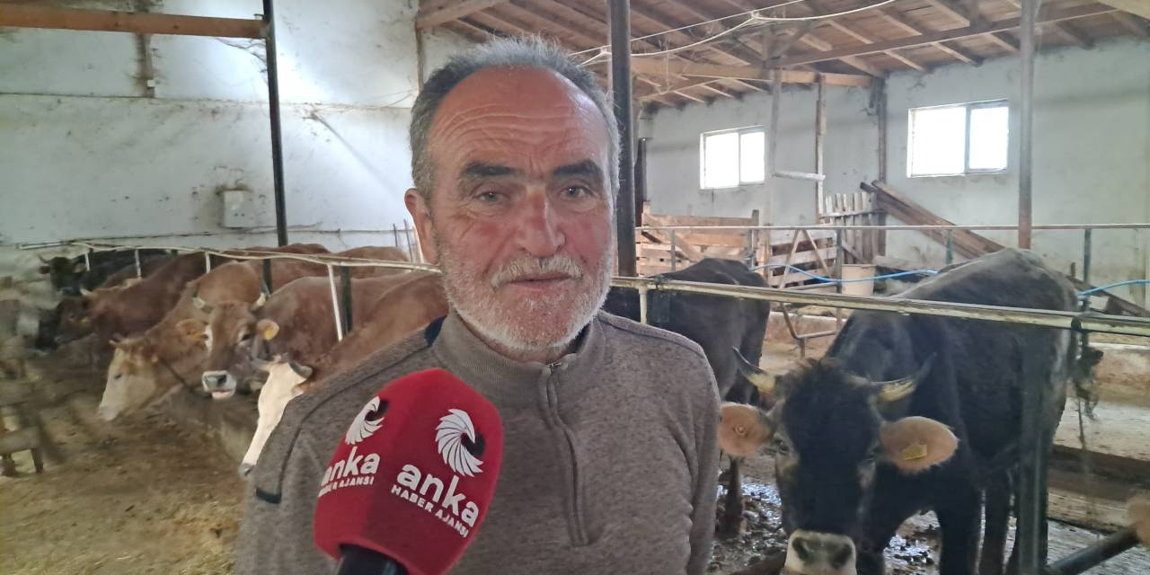 Artvinli üretici kurban satışları için dert yandı: 'Zararına satmak zorunda kalacağım'