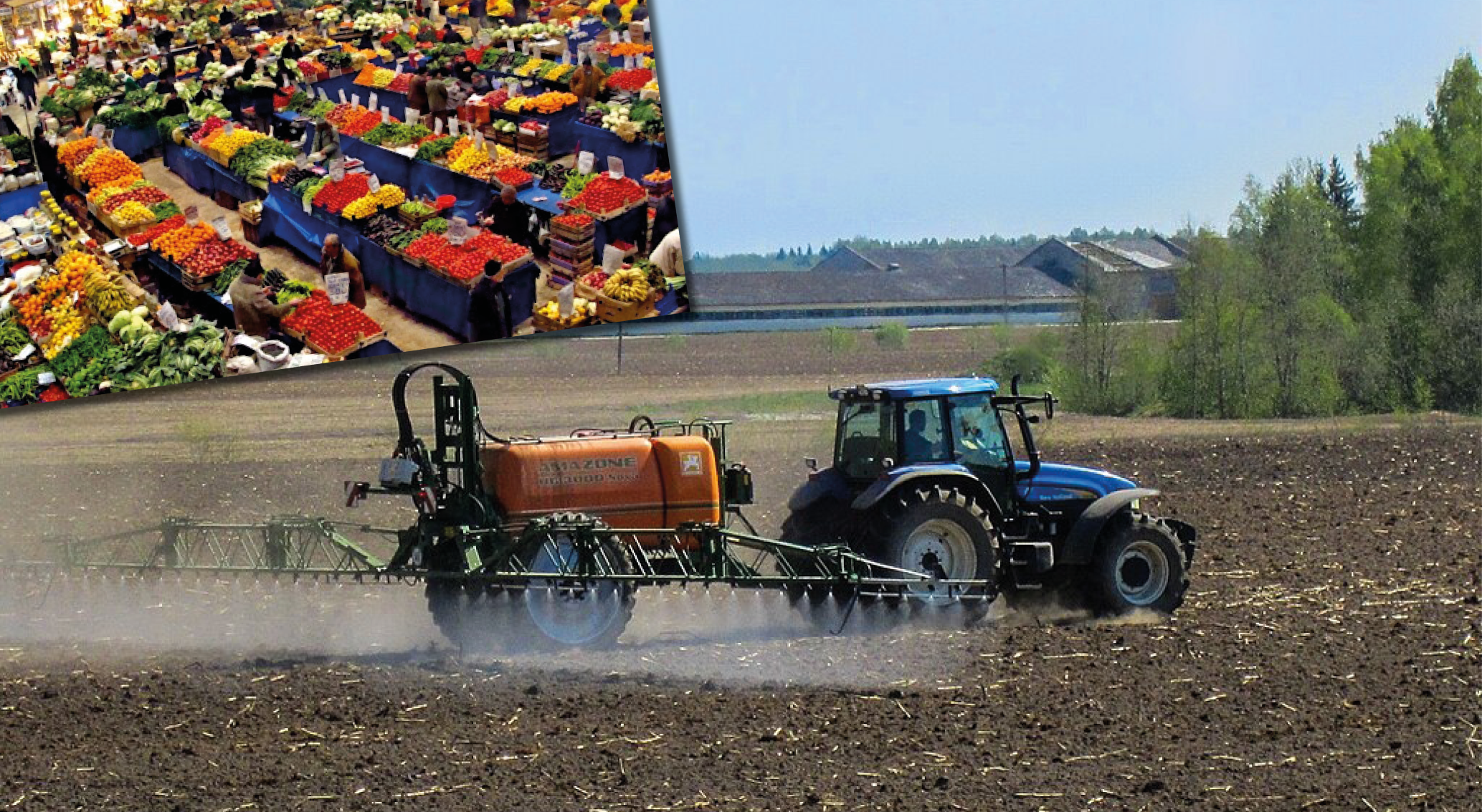 Soframıza sebze, meyve değil zehir satın alıyoruz: Gıdada pestisit kalıntıları iç pazarda alarm veriyor!