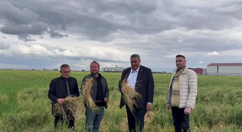 Gürer: “Zirai don tarla bitkilerini de vurdu, üretici sahipsiz”