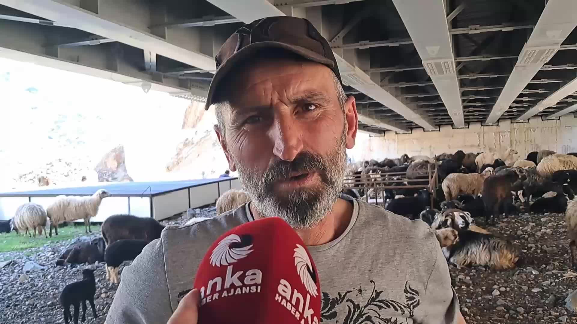 Yem parasını bile karşılayamayan besicinin isyanı: Hayvancılığı sürdüremez hale geldik