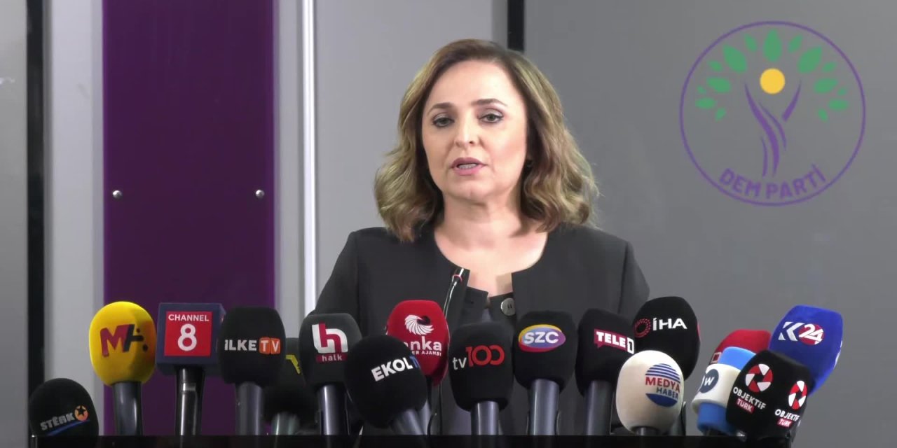 DEM Partili Doğan'dan Sırrı Süreyya Önder'e suikast girişimiyle ilgili soruya yanıt