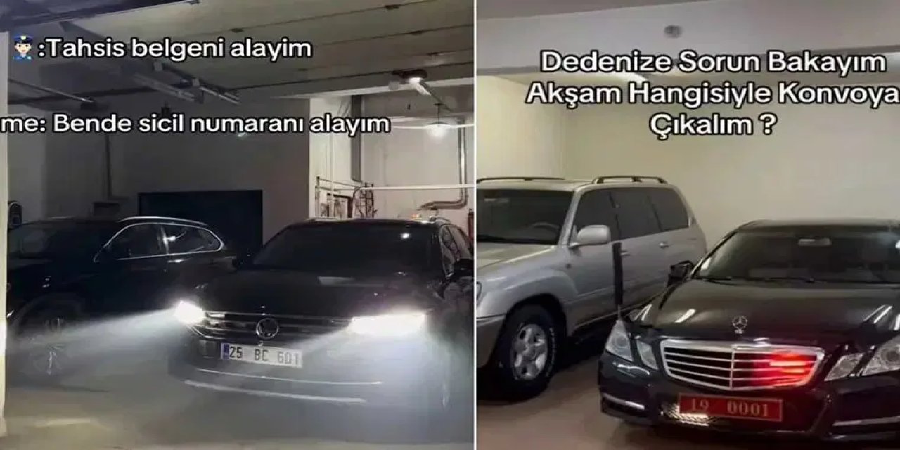 Vali Çiftçi'den tuhaf özür, "Sahipsiz sokak hayvanlarının dahi..."