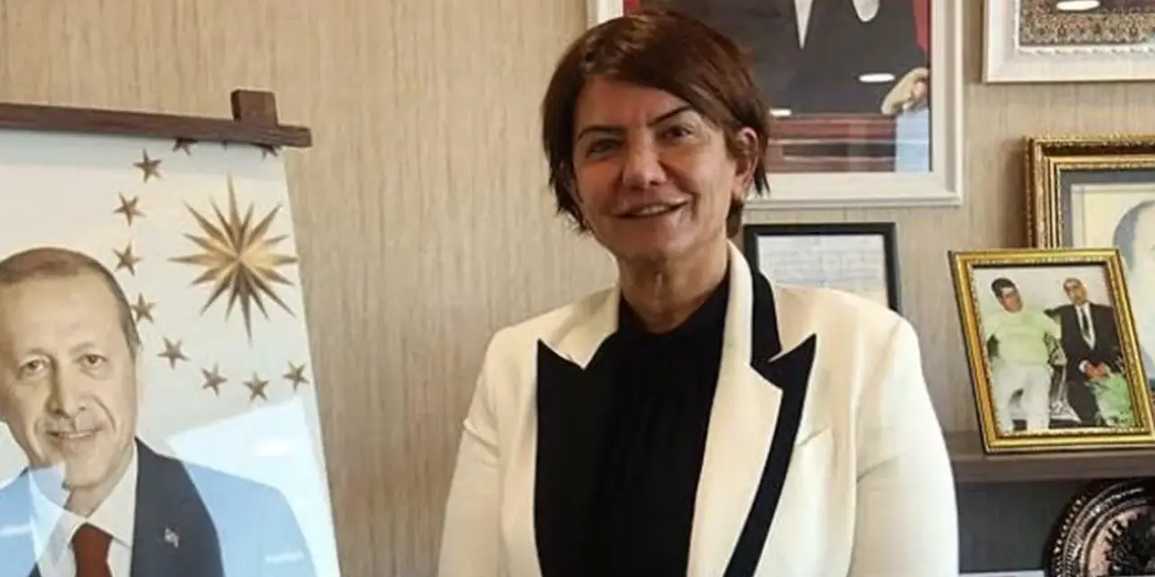 AKP’li Ataman: Yeni Anayasa’da Kürtlerin adı geçebilir, bazı kapılar açılacak