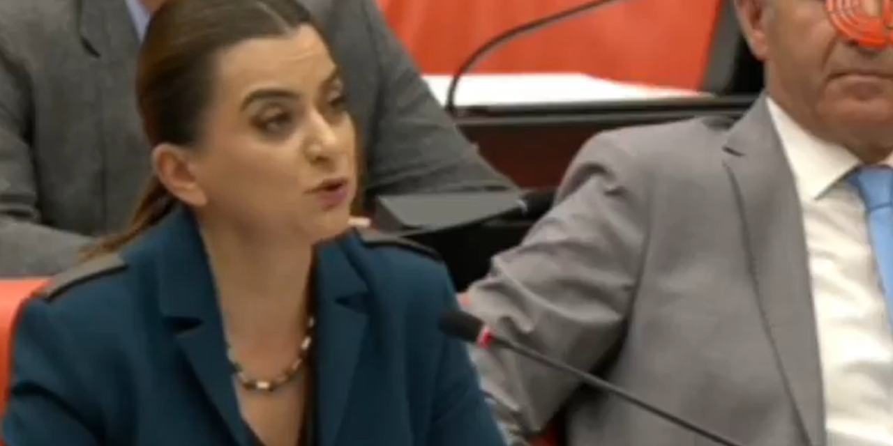 DEM Partili Koçyiğit Meclis'te Kürtçe konuştu; MHP’li Adan mikrofonu kapattı