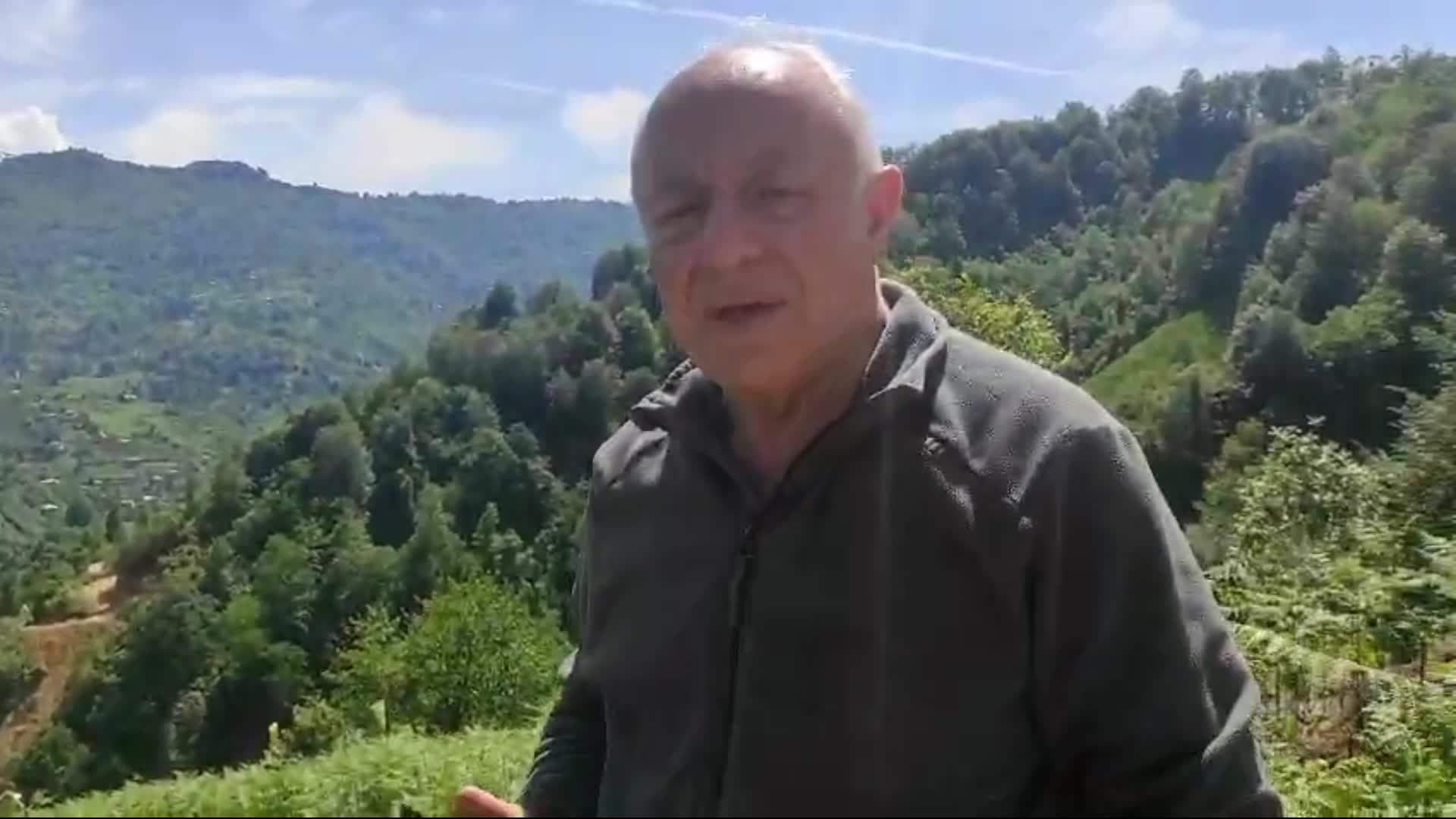 Arhavili emekli öğretmen: "Orman yetkilileri tapulu arazimde ektiğim çay bahçesini tahrip etti"