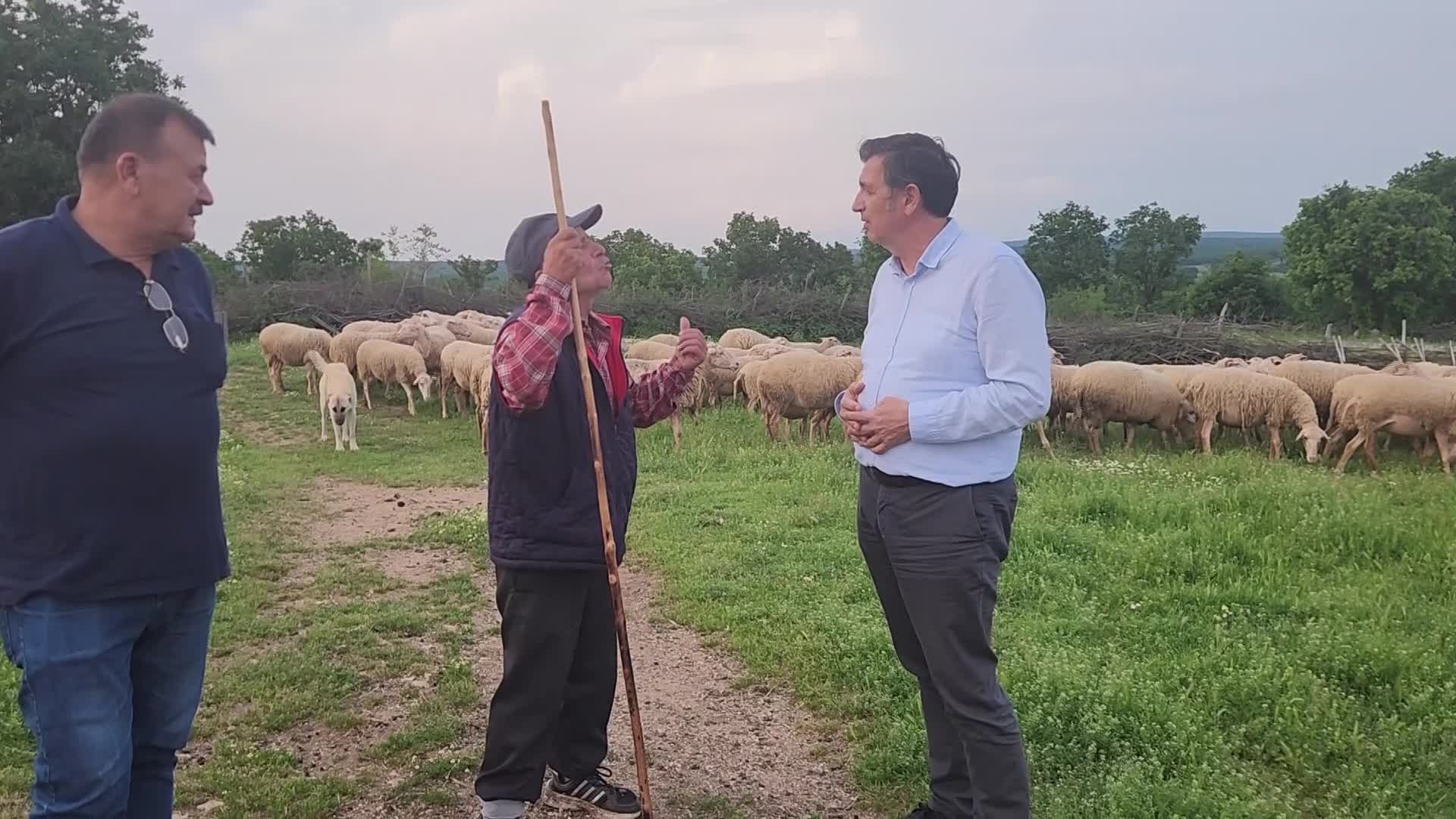 Edirneli besici: “Bir koyunla bir ton yem alamıyorsun”