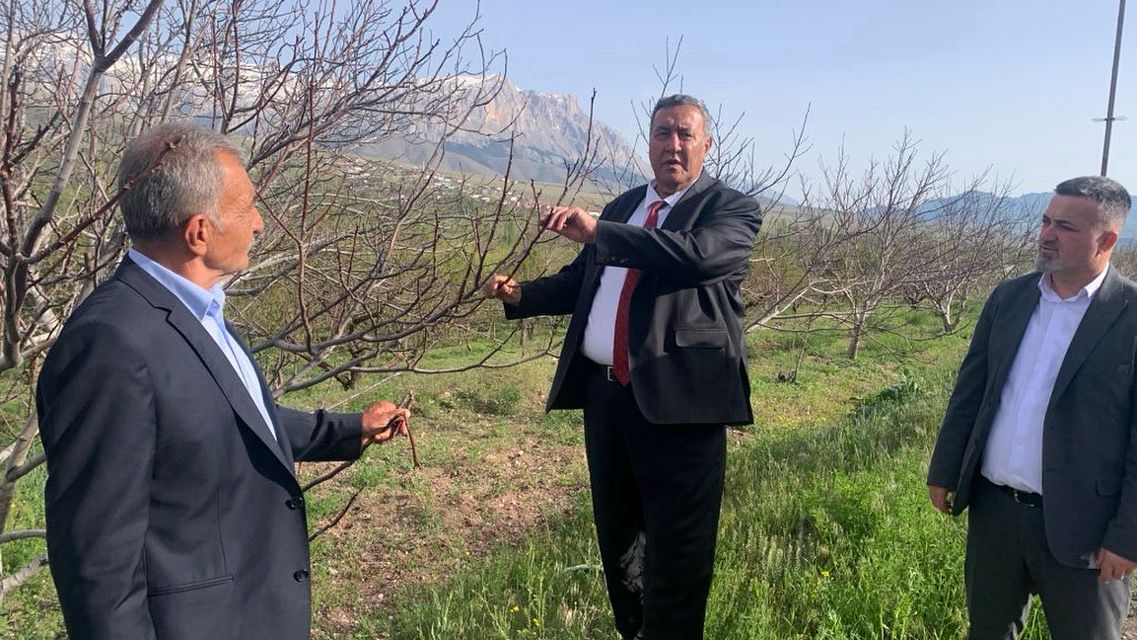 Zirai don sadece meyveyi değil, kırsalı da vurdu