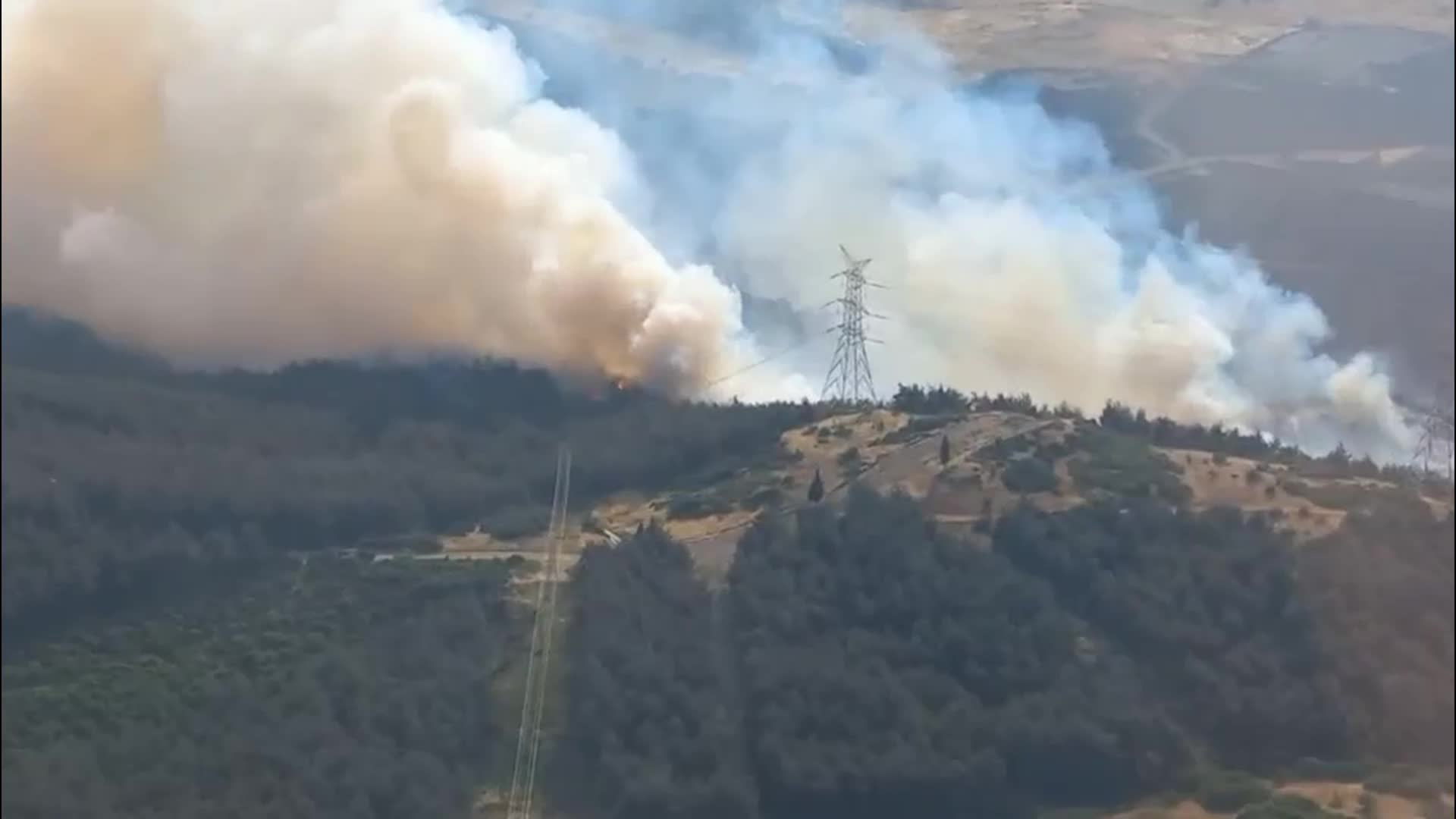 İzmir Aliağa’da orman yangını