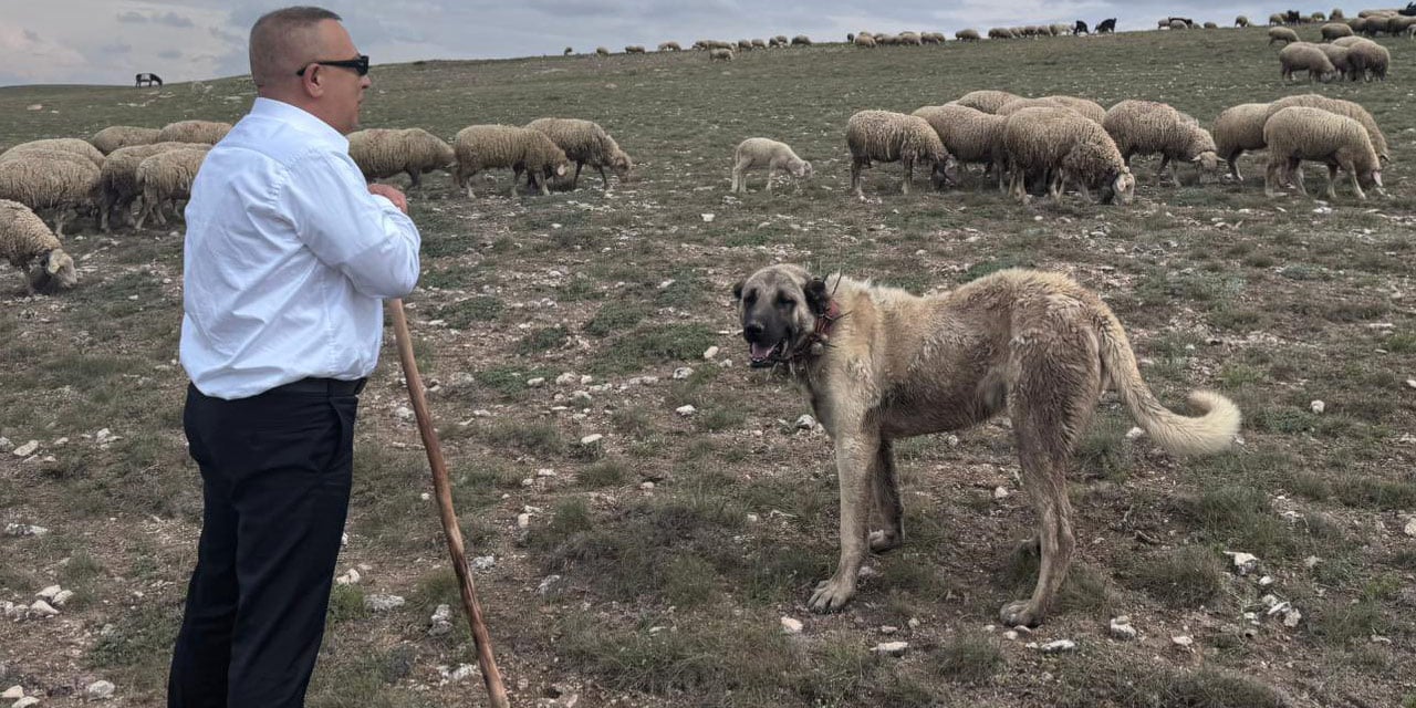 MHP’li ismin pozu tartışma yarattı: ‘Korucular çoban olsun’ tartışmasını alevlendiren fotoğraf