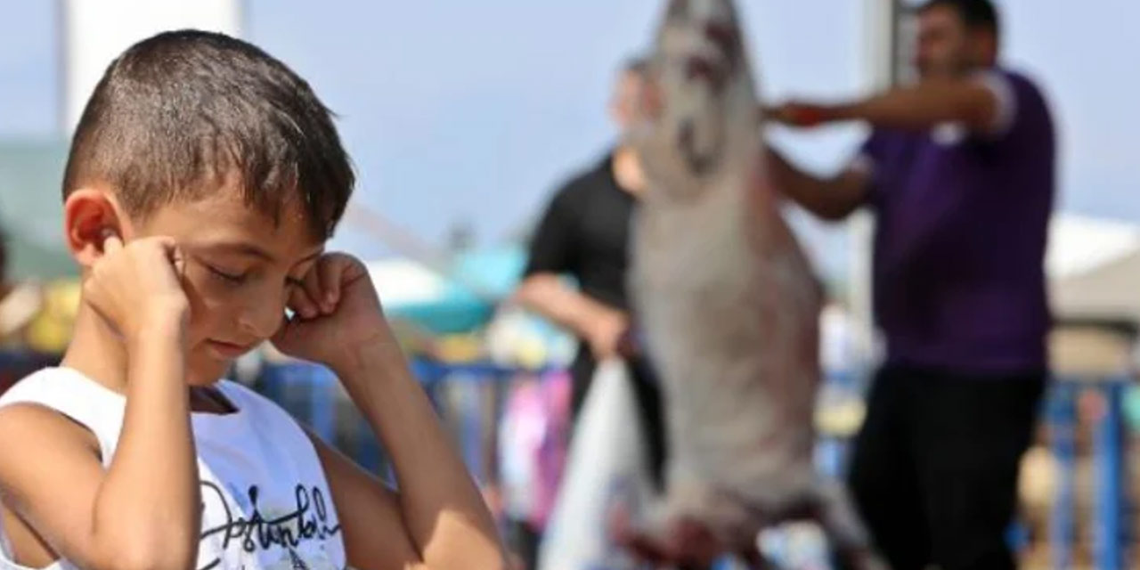 Kurban Bayramı öncesi uyarı: 12 yaş altı çocukları uzak tutun
