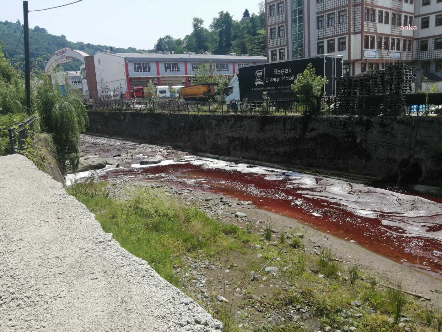 Yıllardır çözülemeyen sorun: Rize'de kurban kanları dereyi ve denizi kırmızıya boyadı