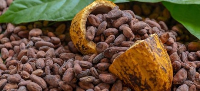 Çikolataya zam yolda: Kakao fiyatı 2 ayda yüzde 250 arttı
