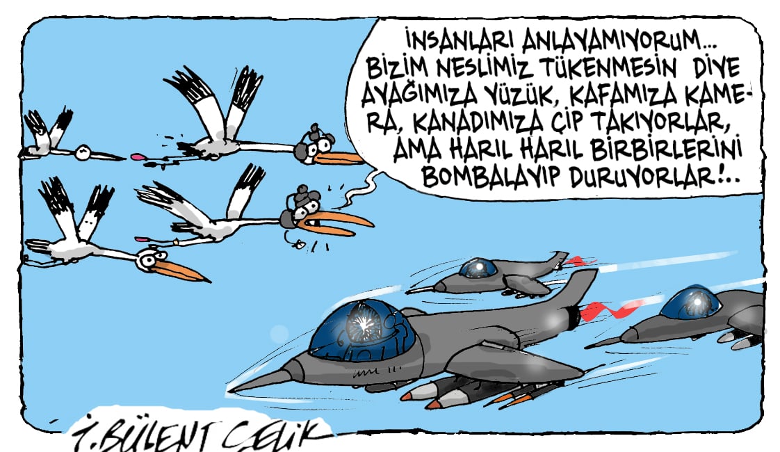 İ. Bülent Çelik'in 15 Haziran 2025 tarihli karikatürü