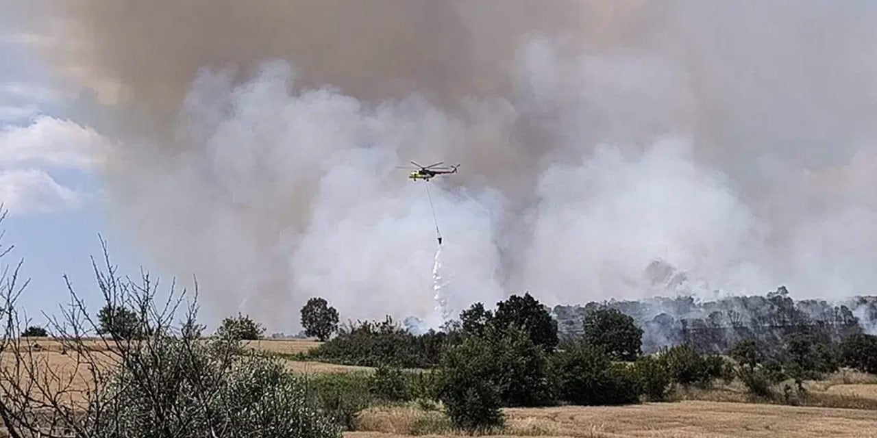 Yine anız yine tehlike: Edirne'de orman yangını