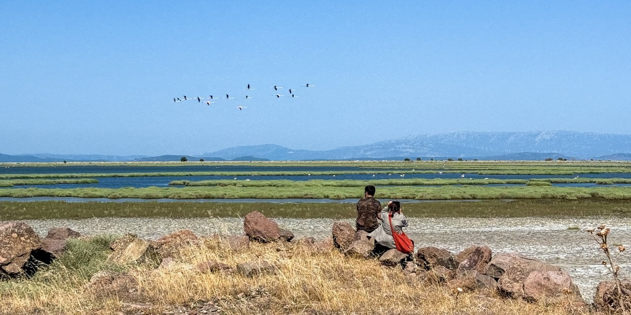 Kuruyan göller, kaybolan hayatlar: Türkiye Kuş Konferansı İzmir’de yapıldı