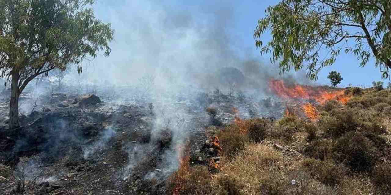 Yangın kabusu bu kez Bodrum’da: Havadan ve karadan müdahale başladı