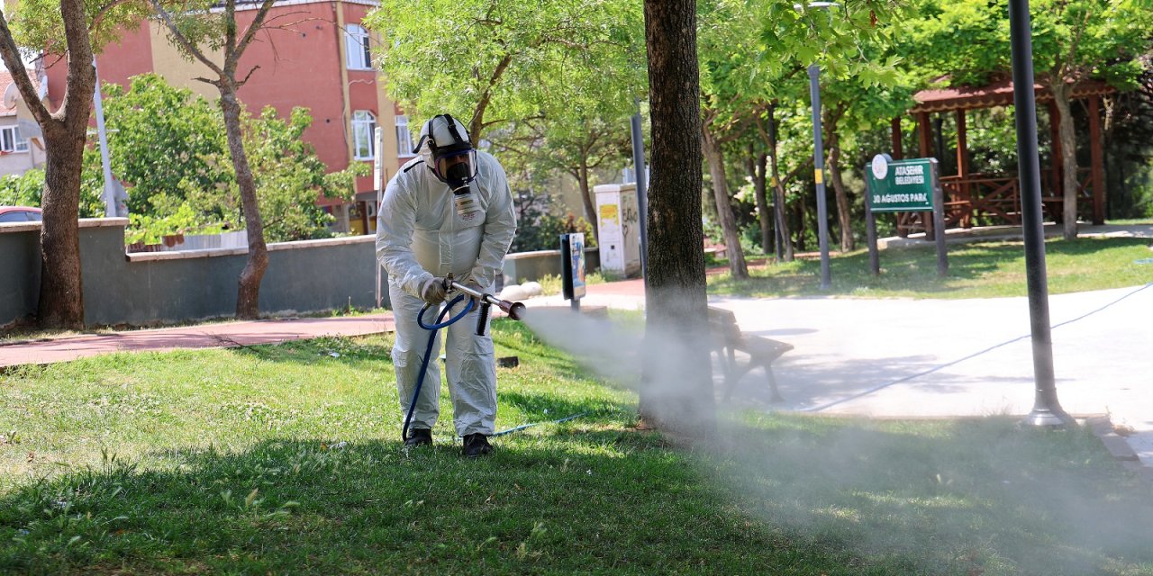 Ataşehir’de yazın kabusu kenelere karşı yoğun ilaçlama
